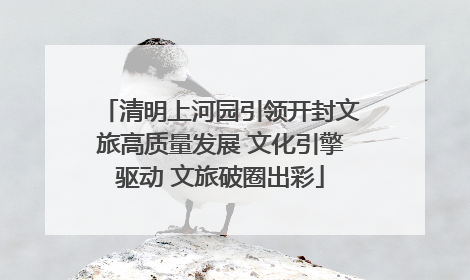 清明上河园引领开封文旅高质量发展 文化引擎驱动 文旅破圈出彩